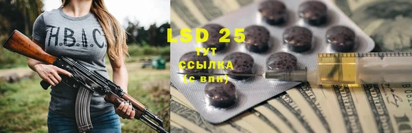 винт Верея