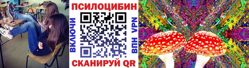 где можно купить наркотик  Весьегонск  Галлюциногенные грибы мухоморы 